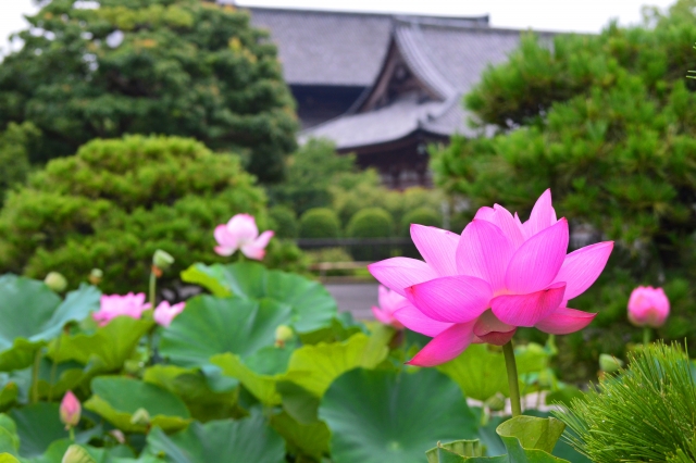 東寺の概要